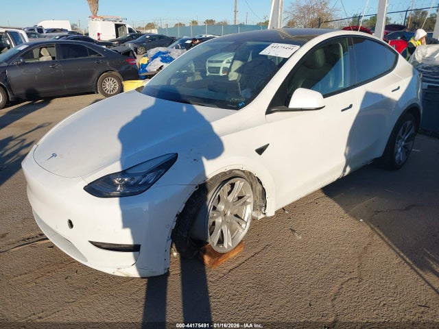 2021 TESLA MODEL Y 5YJYGDEE1MF087375 Photo 1