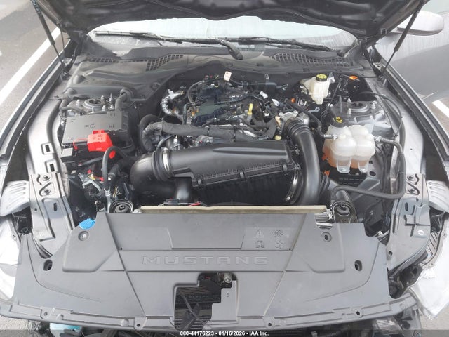 Ford Mustang Ecoboost Fastback 2024 1FA6P8TH4R5107693 Image 10
