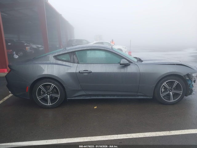 Ford Mustang Ecoboost Fastback 2024 1FA6P8TH4R5107693 Image 14