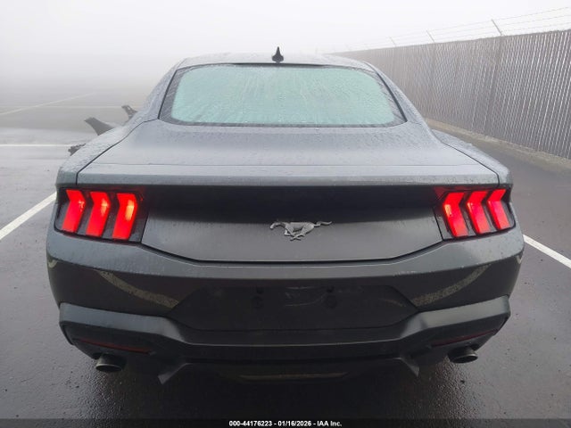 Ford Mustang Ecoboost Fastback 2024 1FA6P8TH4R5107693 Image 17