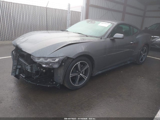 Ford Mustang Ecoboost Fastback 2024 1FA6P8TH4R5107693 Image 2