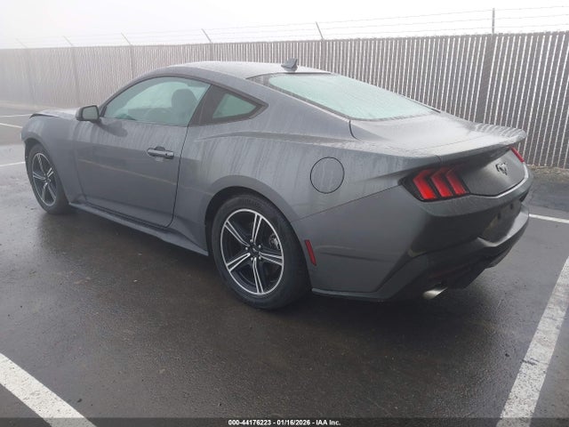 Ford Mustang Ecoboost Fastback 2024 1FA6P8TH4R5107693 Image 3