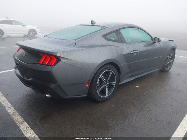 Ford Mustang Ecoboost Fastback 2024 1FA6P8TH4R5107693 Image 4