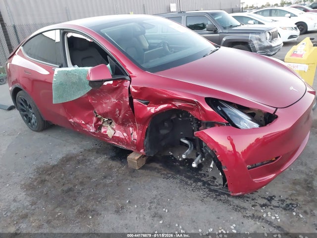 7SAYGDED6RF129542 Tesla Model Y Rwd
