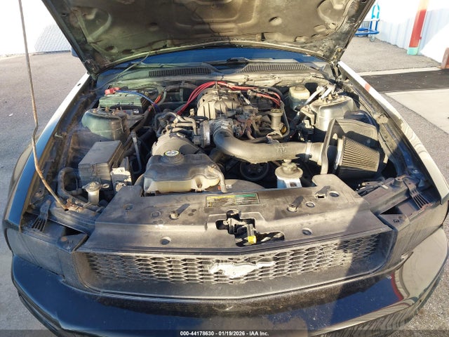 2005 FORD MUSTANG 1ZVFT80NX55135649 Photo 9
