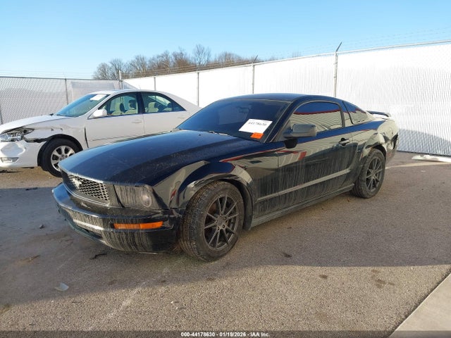 2005 FORD MUSTANG 1ZVFT80NX55135649 Photo 1