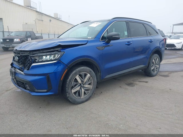 KIA SORENTO EX 2021 5XYRHDLF2MG066010 Image 2