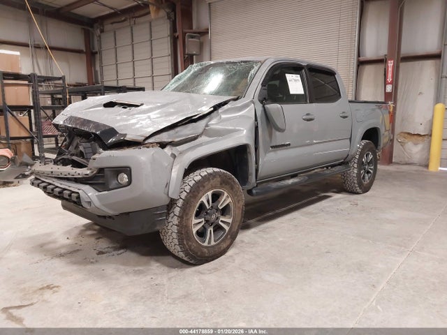 3TMCZ5AN8KM215510 Toyota Tacoma Trd Sport
