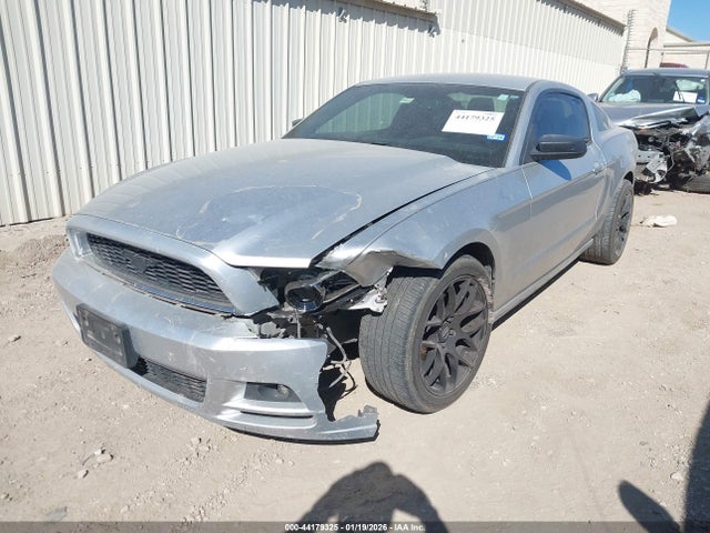 1ZVBP8AM2E5256930 Ford Mustang V6