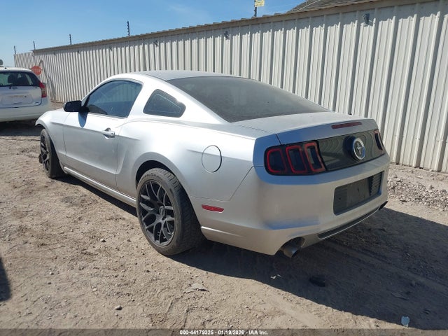 1ZVBP8AM2E5256930 Ford Mustang V6