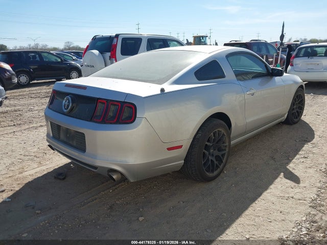 1ZVBP8AM2E5256930 Ford Mustang V6