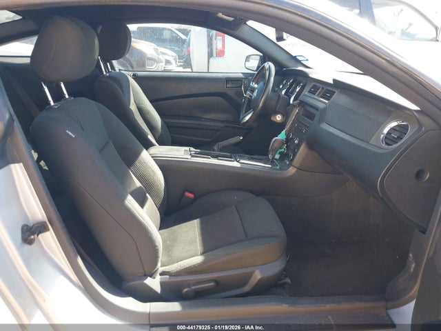 1ZVBP8AM2E5256930 Ford Mustang V6