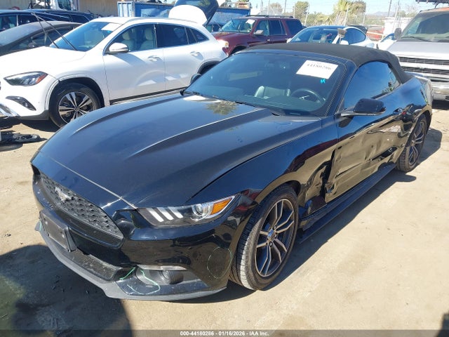 1FATP8UHXH5310569 Ford Mustang Ecoboost Premium