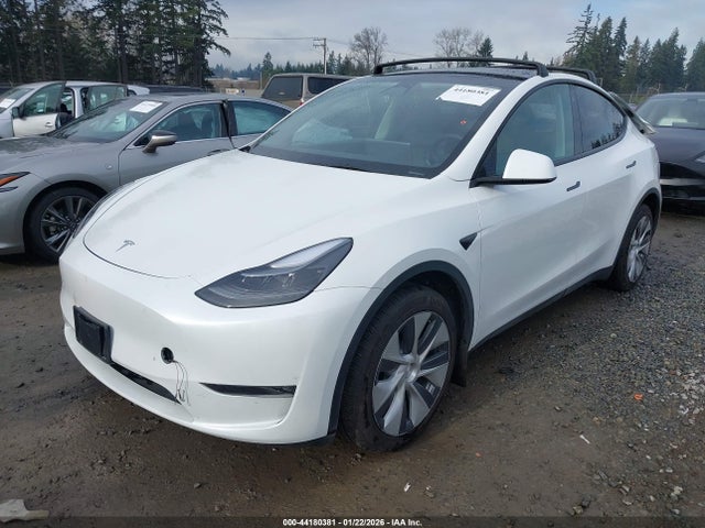 2023 TESLA MODEL Y 7SAYGDEE3PF788474 Photo 1