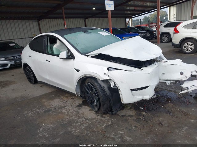 2023 TESLA MODEL Y 7SAYGAEE3PF640307 Photo 0