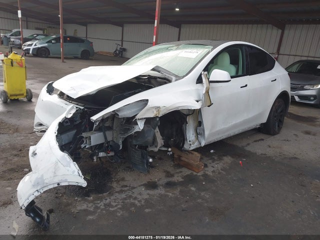 2023 TESLA MODEL Y 7SAYGAEE3PF640307 Photo 1