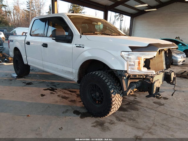 Ford F-150 Xlt 2020 1FTEW1E49LKE50003 главное изображение