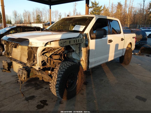 Ford F-150 Xlt 2020 1FTEW1E49LKE50003 Image 2