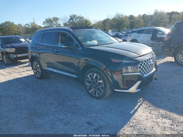 2023 HYUNDAI SANTA FE 5NMS5DAL0PH516315