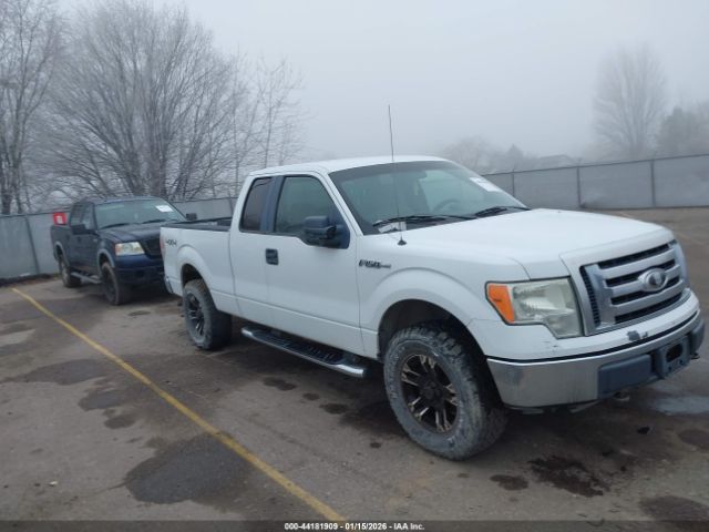 2010 FORD F-150 1FTFX1EV7AFA03816
