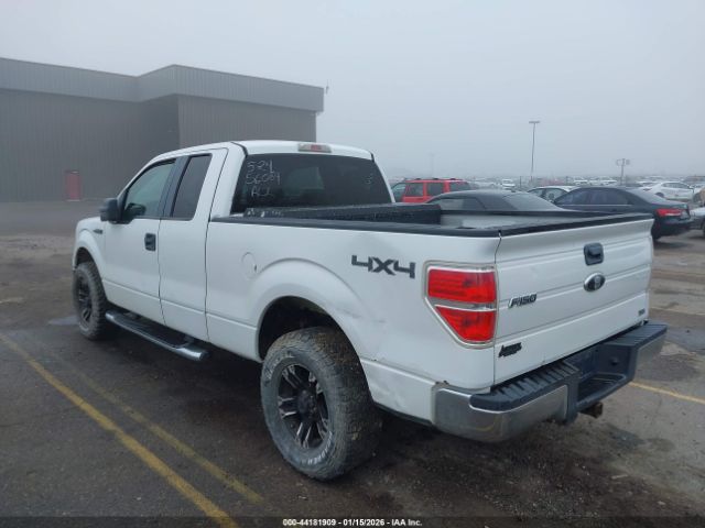 2010 FORD F-150 1FTFX1EV7AFA03816 Photo 2