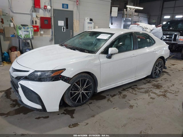 4T1G11AK8MU608036 Toyota CAMRY SE