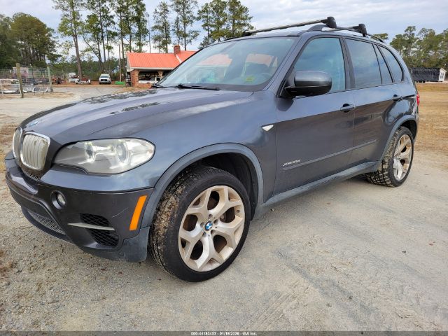 2013 BMW X5 5UXZW0C51D0B91304 Photo 1