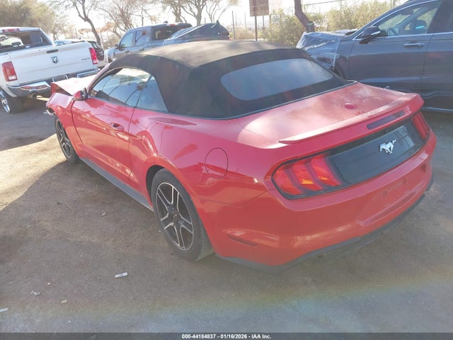 1FATP8UHXK5126305 Ford Mustang Ecoboost Premium