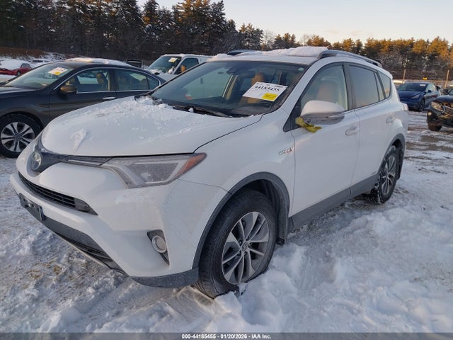 JTMRJREV1JD198272 Toyota Rav4 Hybrid Xle
