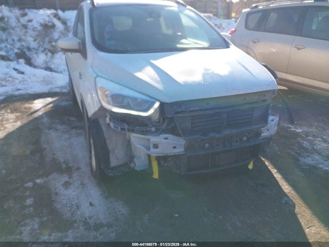 Ford ESCAPE SEL 2019 1FMCU9HD1KUC42445 Image 6