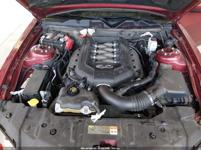 1ZVBP8CF0E5206204 Ford MUSTANG GT
