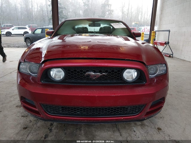 1ZVBP8CF0E5206204 Ford MUSTANG GT