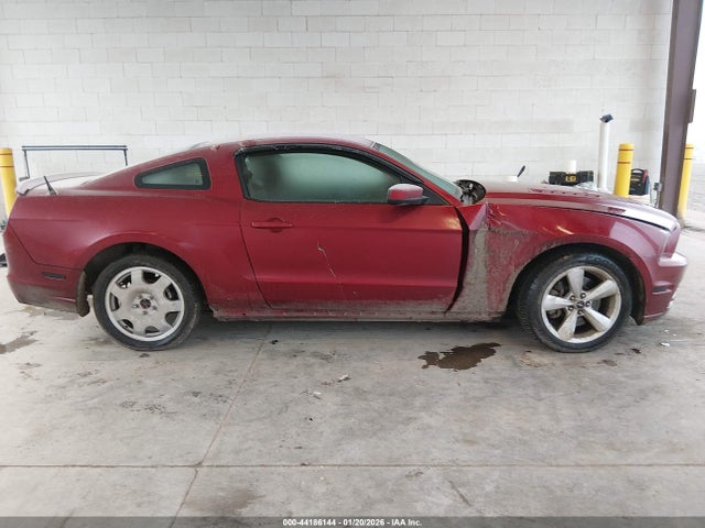 1ZVBP8CF0E5206204 Ford MUSTANG GT