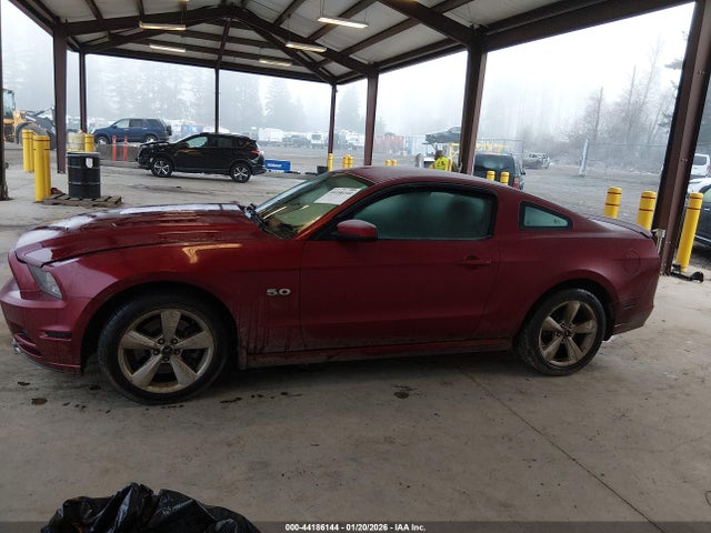 1ZVBP8CF0E5206204 Ford MUSTANG GT