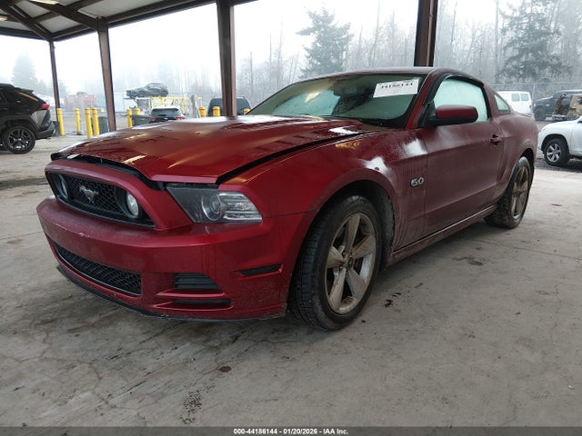1ZVBP8CF0E5206204 Ford MUSTANG GT