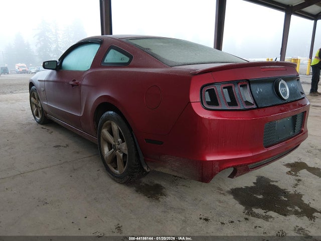 1ZVBP8CF0E5206204 Ford MUSTANG GT