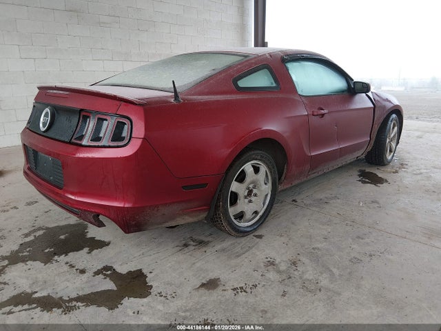 1ZVBP8CF0E5206204 Ford MUSTANG GT