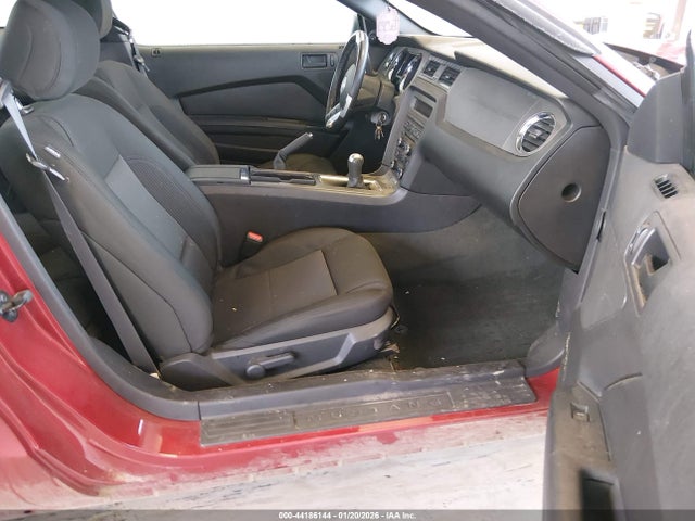 1ZVBP8CF0E5206204 Ford MUSTANG GT