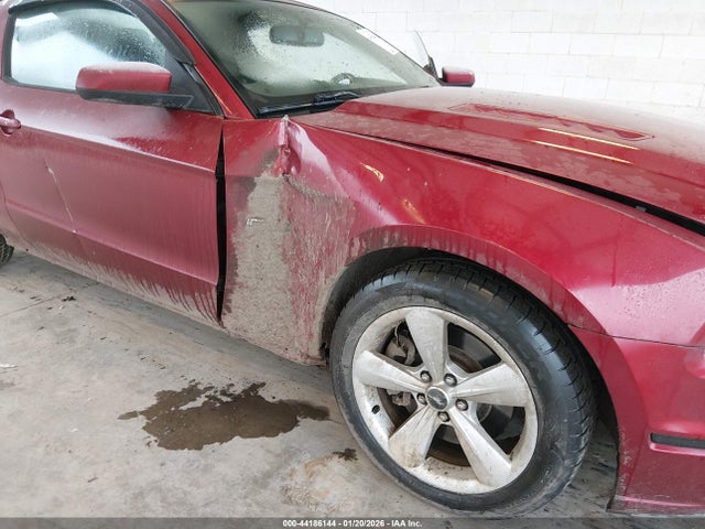 1ZVBP8CF0E5206204 Ford MUSTANG GT