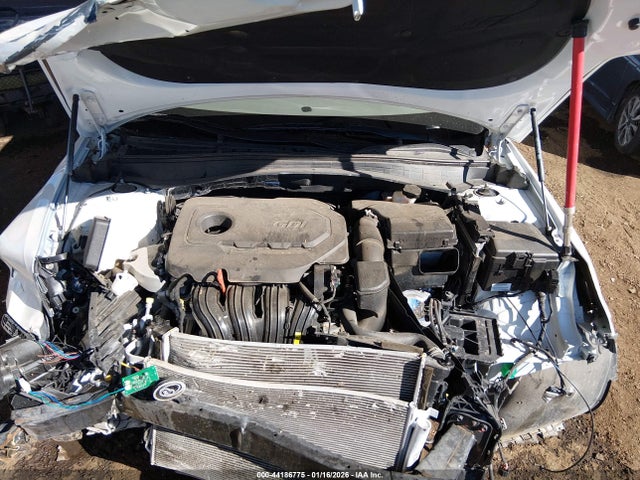 5XXGU4L31GG113044 KIA OPTIMA EX