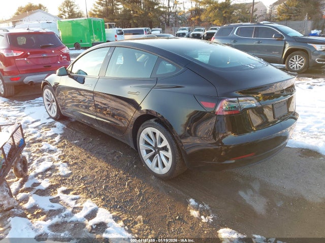 2023 TESLA MODEL 3 5YJ3E1EAXPF451177 Photo 2