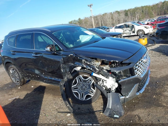 2023 HYUNDAI SANTA FE 5NMS4DAL5PH539916