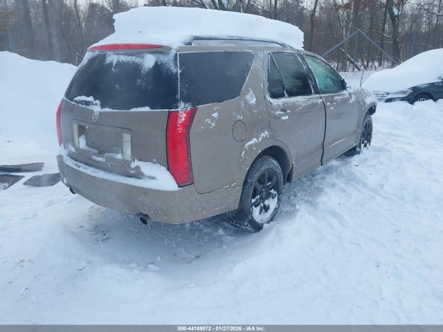 2007 CADILLAC SRX 1GYEE637970129474 Photo 3