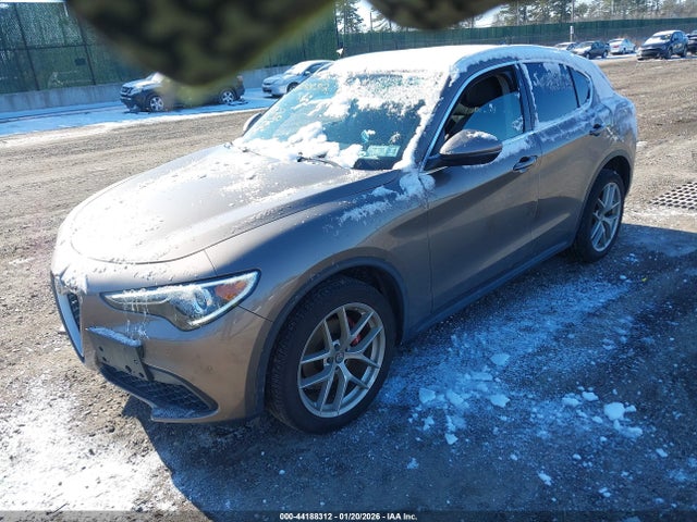 2019 ALFA ROMEO STELVIO ZASPAKBN1K7C50994 Photo 1
