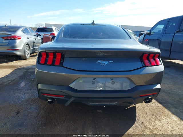 44188542 :رقم المزاد ، 1FA6P8TH2R5107367 vin ، 2024 Ford Mustang Ecoboost Fastback مزاد بيع