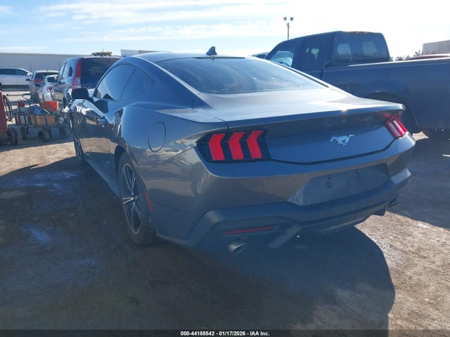 44188542 :رقم المزاد ، 1FA6P8TH2R5107367 vin ، 2024 Ford Mustang Ecoboost Fastback مزاد بيع