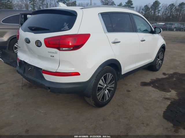 KIA Sportage Ex 2014 KNDPC3AC9E7567080 Image 4