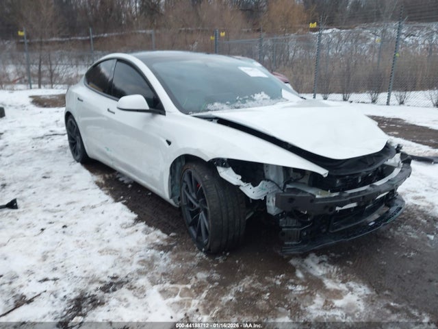 2025 TESLA MODEL 3 5YJ3E1ET1SF037067