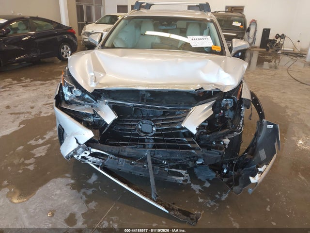 2019 LEXUS NX 300H JTJBJRBZ8K2114029 Photo 5