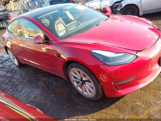 2023 TESLA MODEL 3 5YJ3E1EA6PF494981 Photo 0